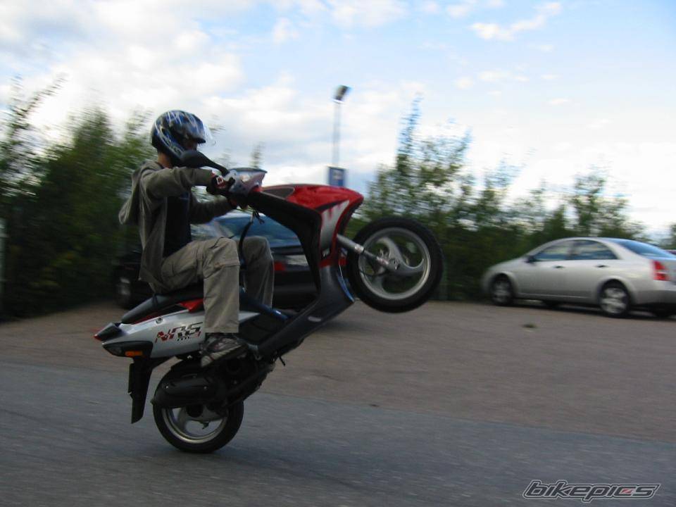 Photo 207783