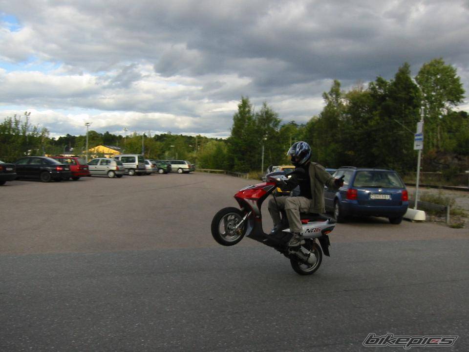 Photo 207784