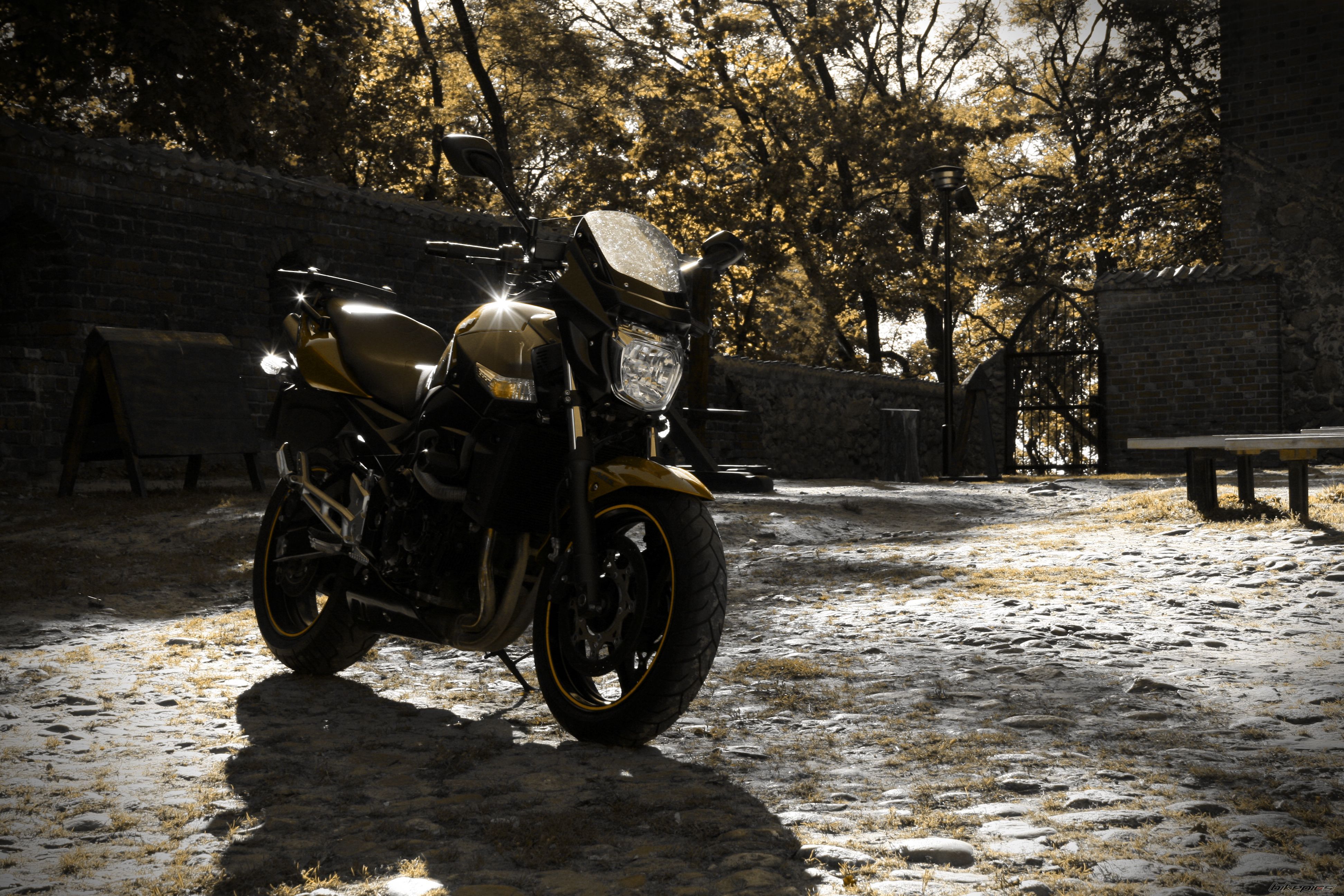 Photo 2077850