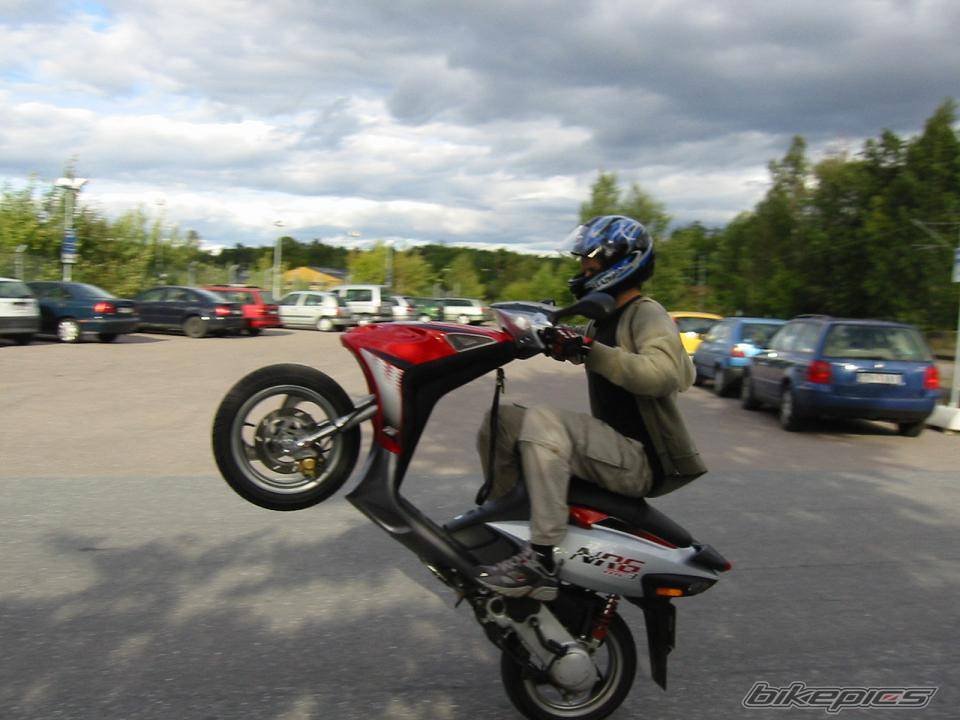 Photo 207793