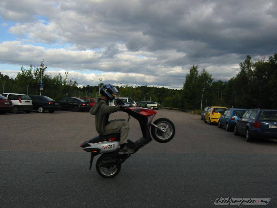 Photo 207795