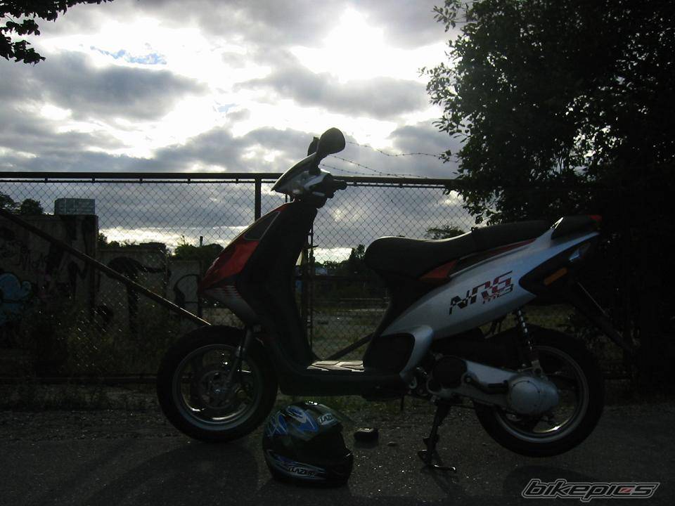 Photo 207796