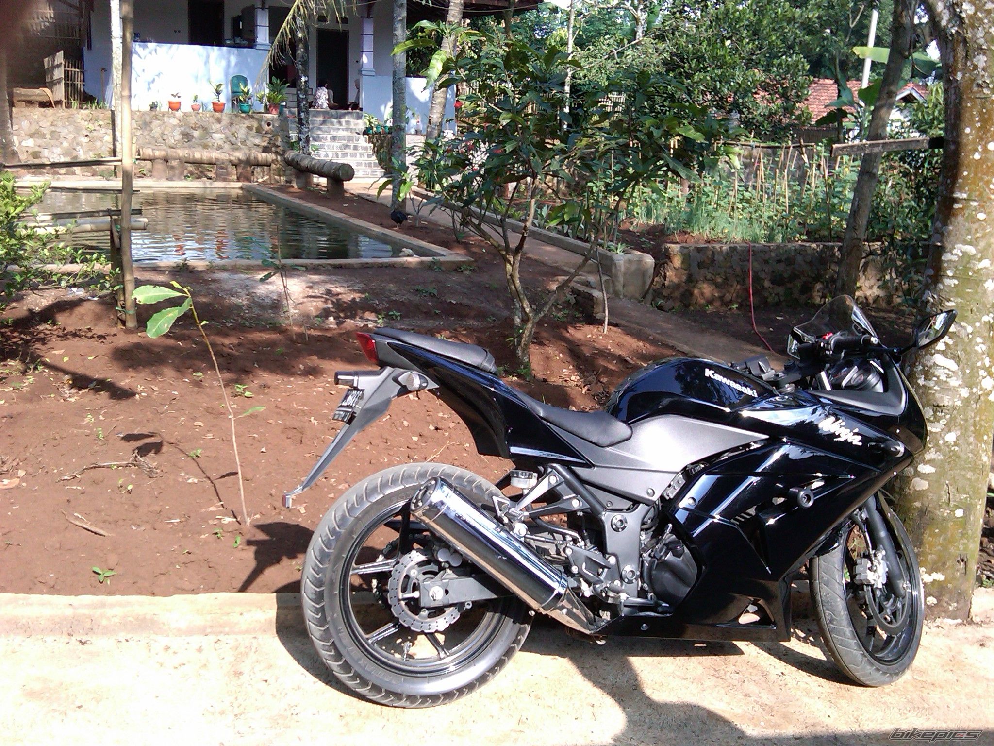 Photo 2077962