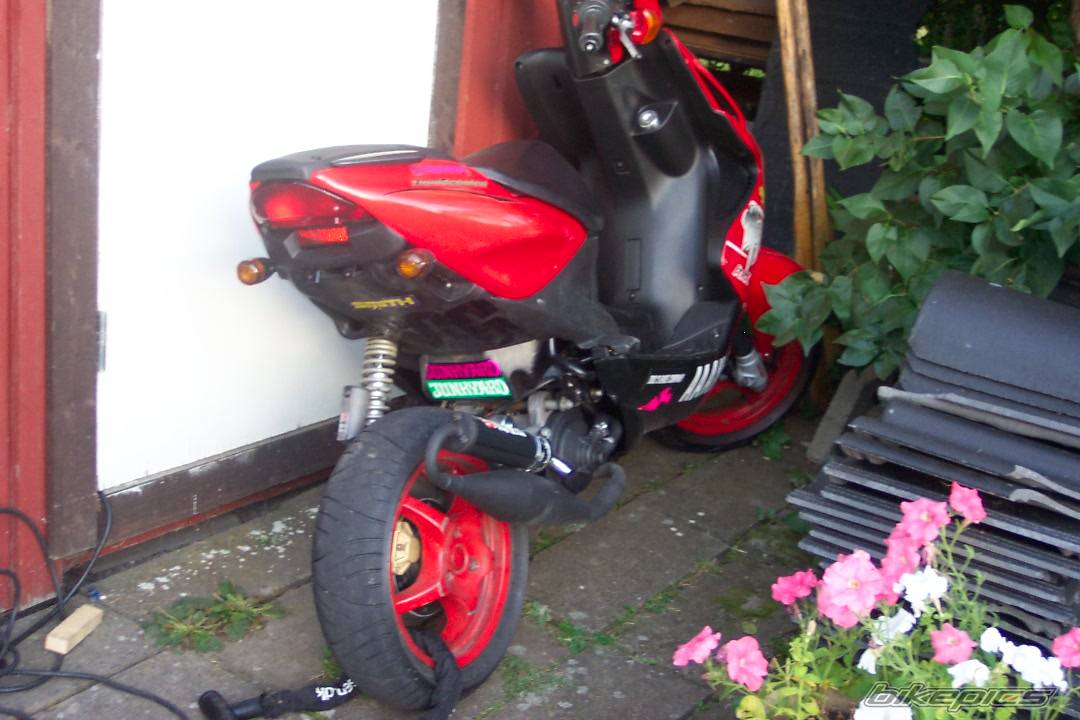 Photo 207804