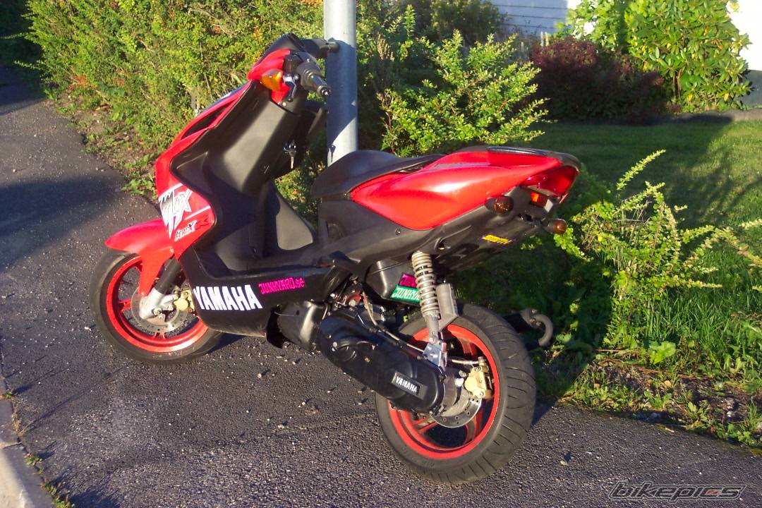 Photo 207806