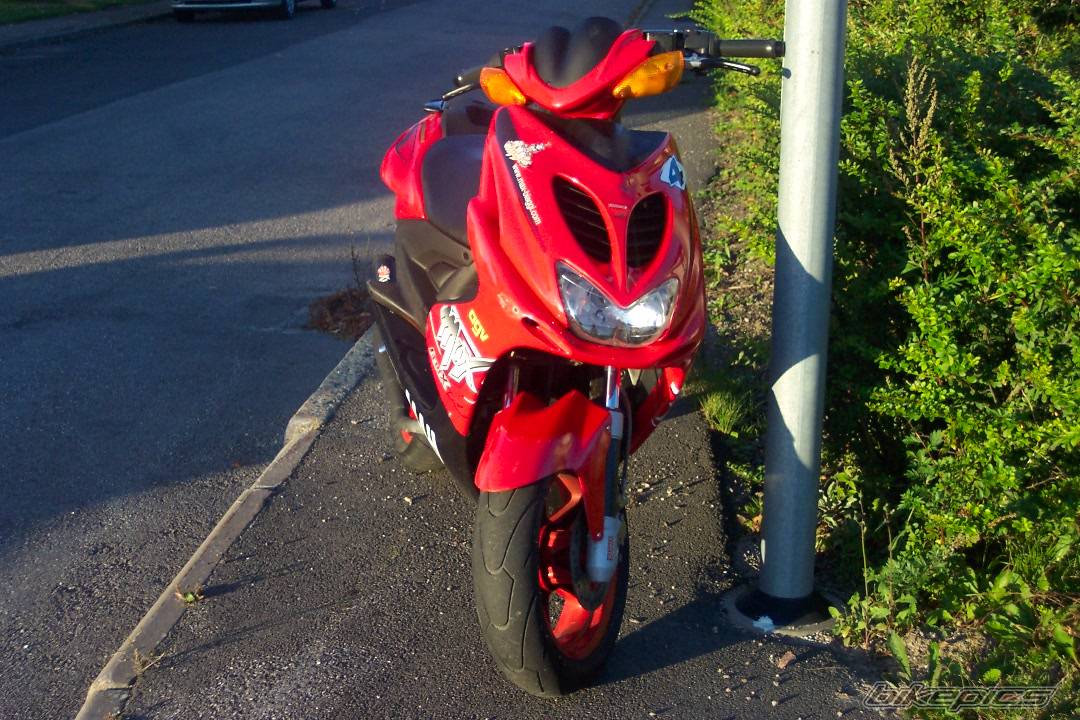 Photo 207808