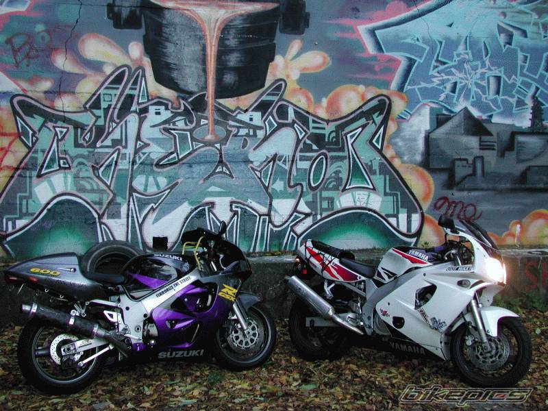 Photo 20781