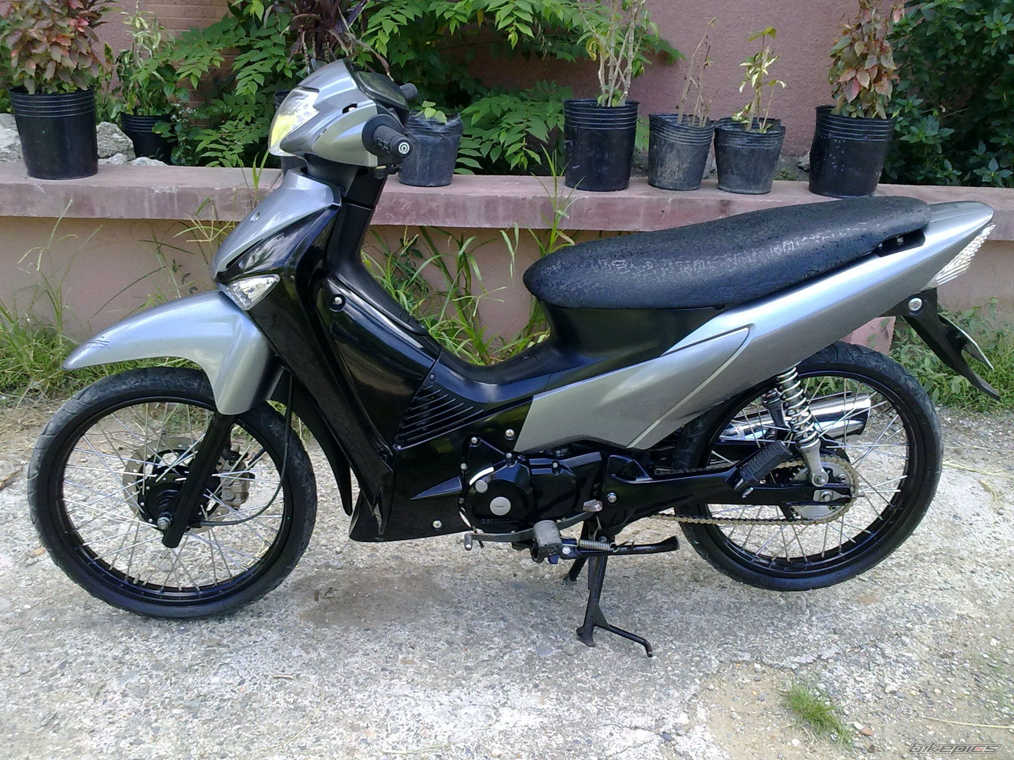 Photo 2078202