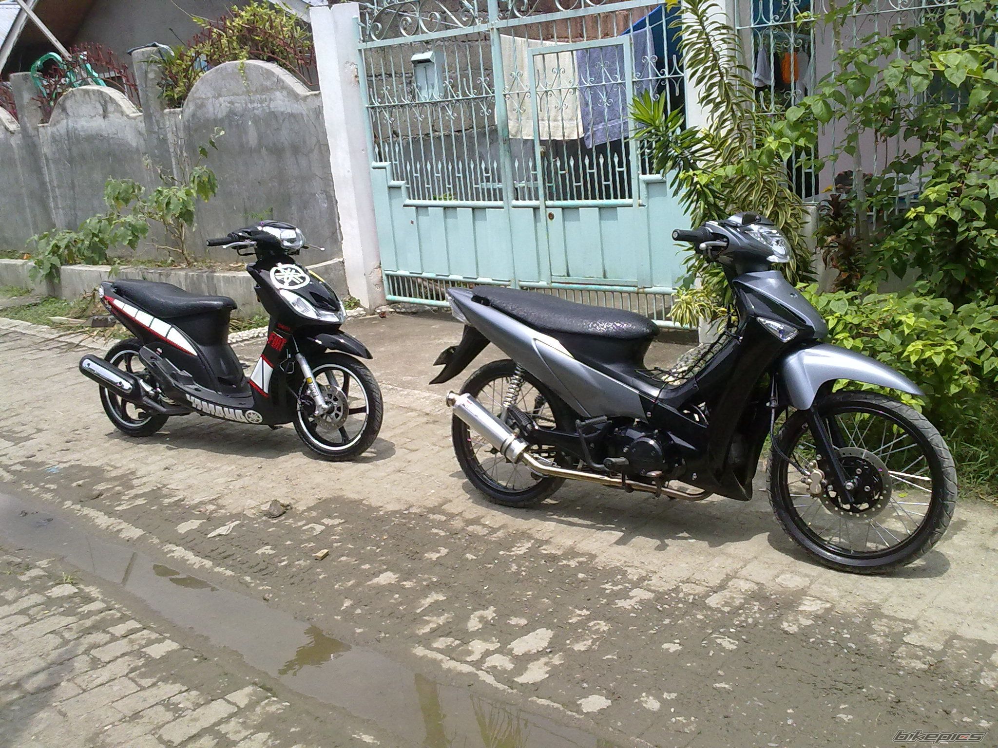 Photo 2078211