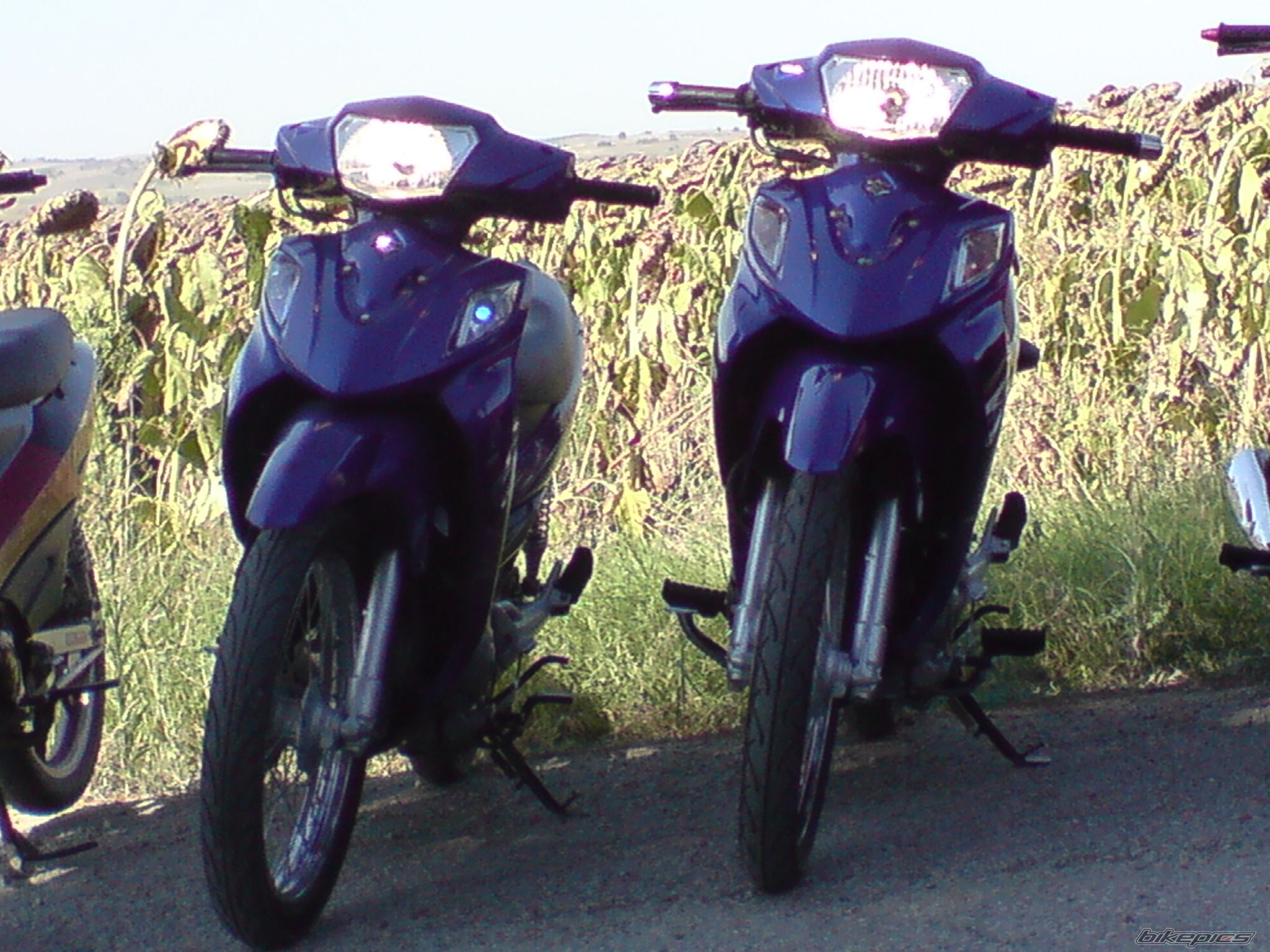 Bike Photo 2078217