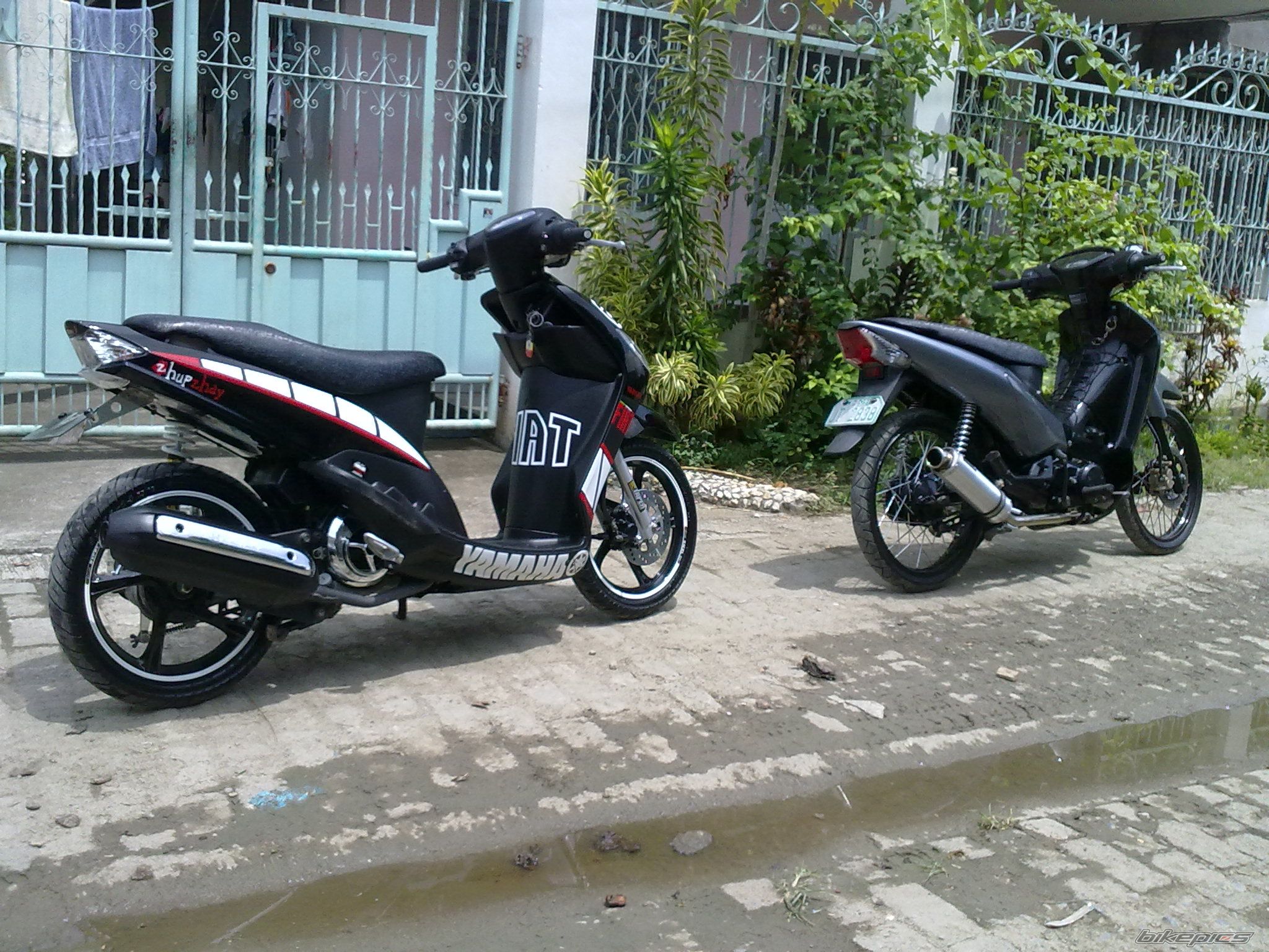 Photo 2078233