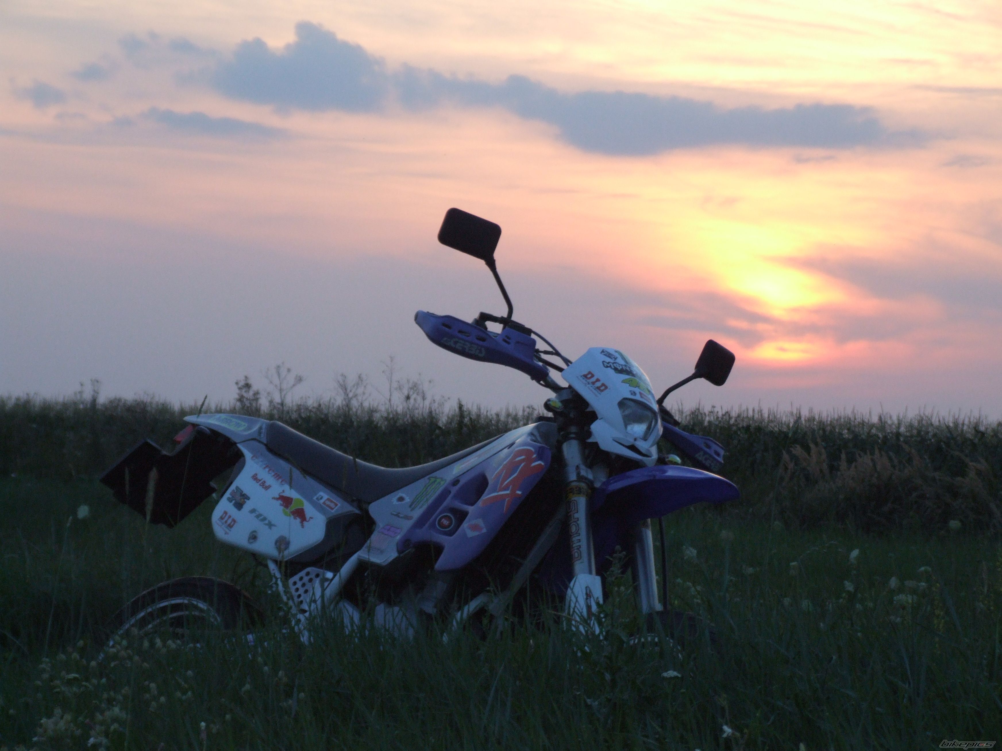 Photo 2078299
