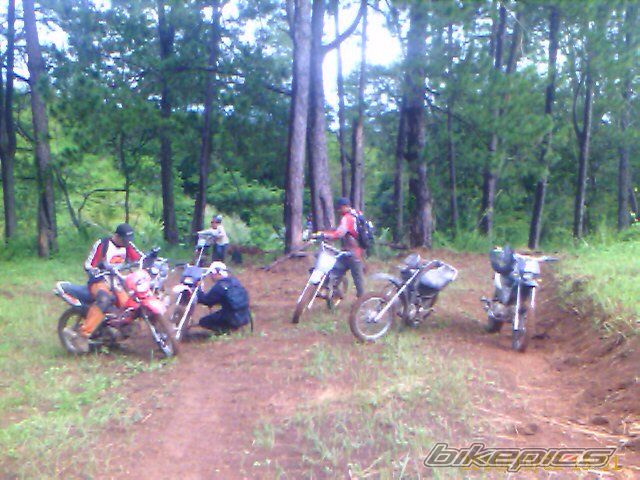 Photo 2078634