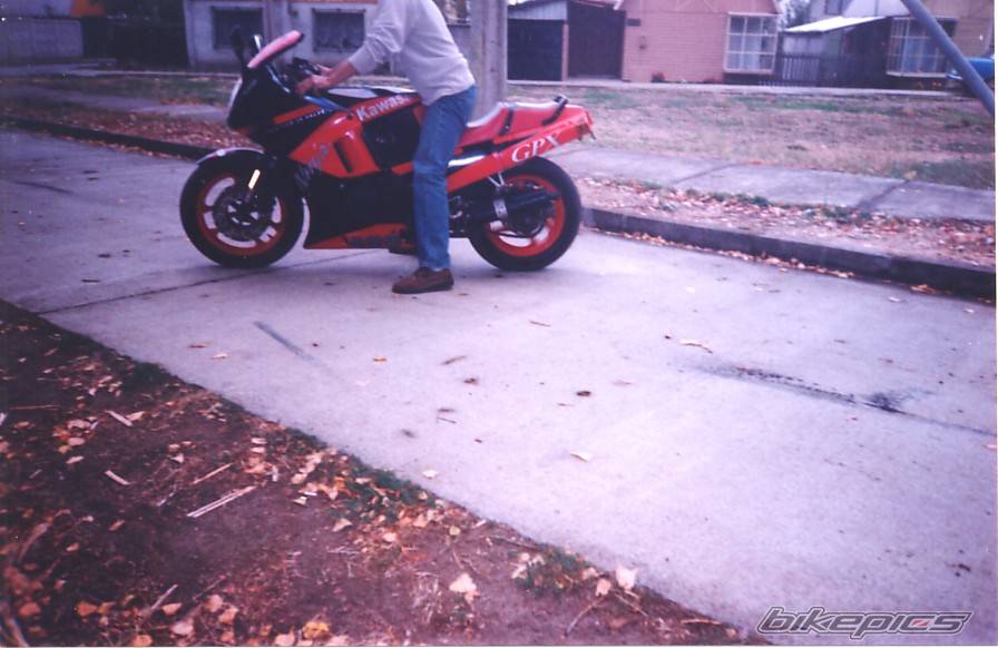 Photo 207875