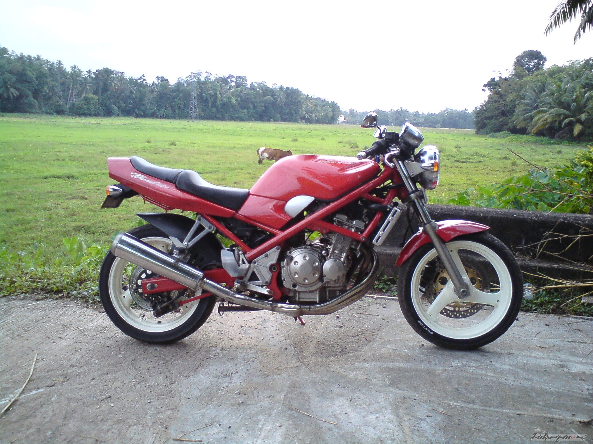 Photo 2078789