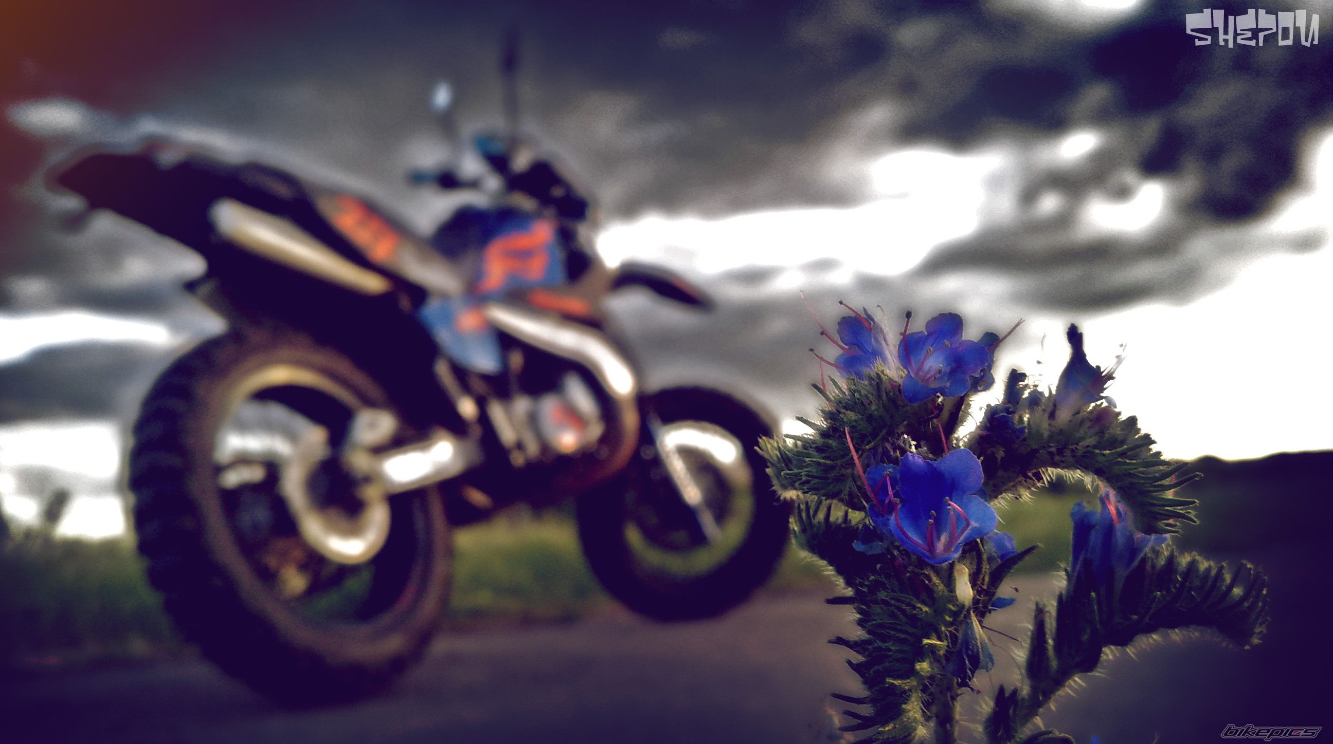Photo 2078792