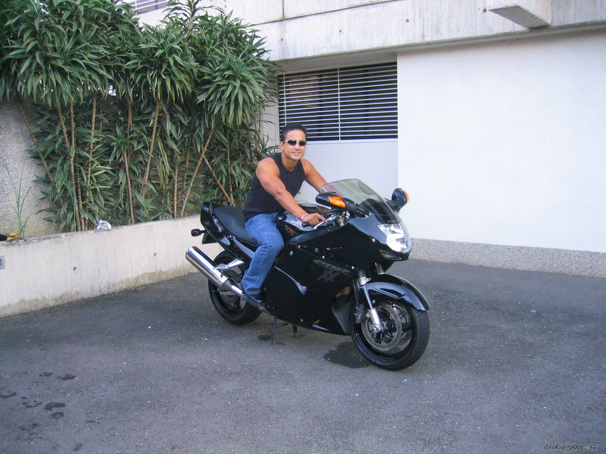 Photo 207884