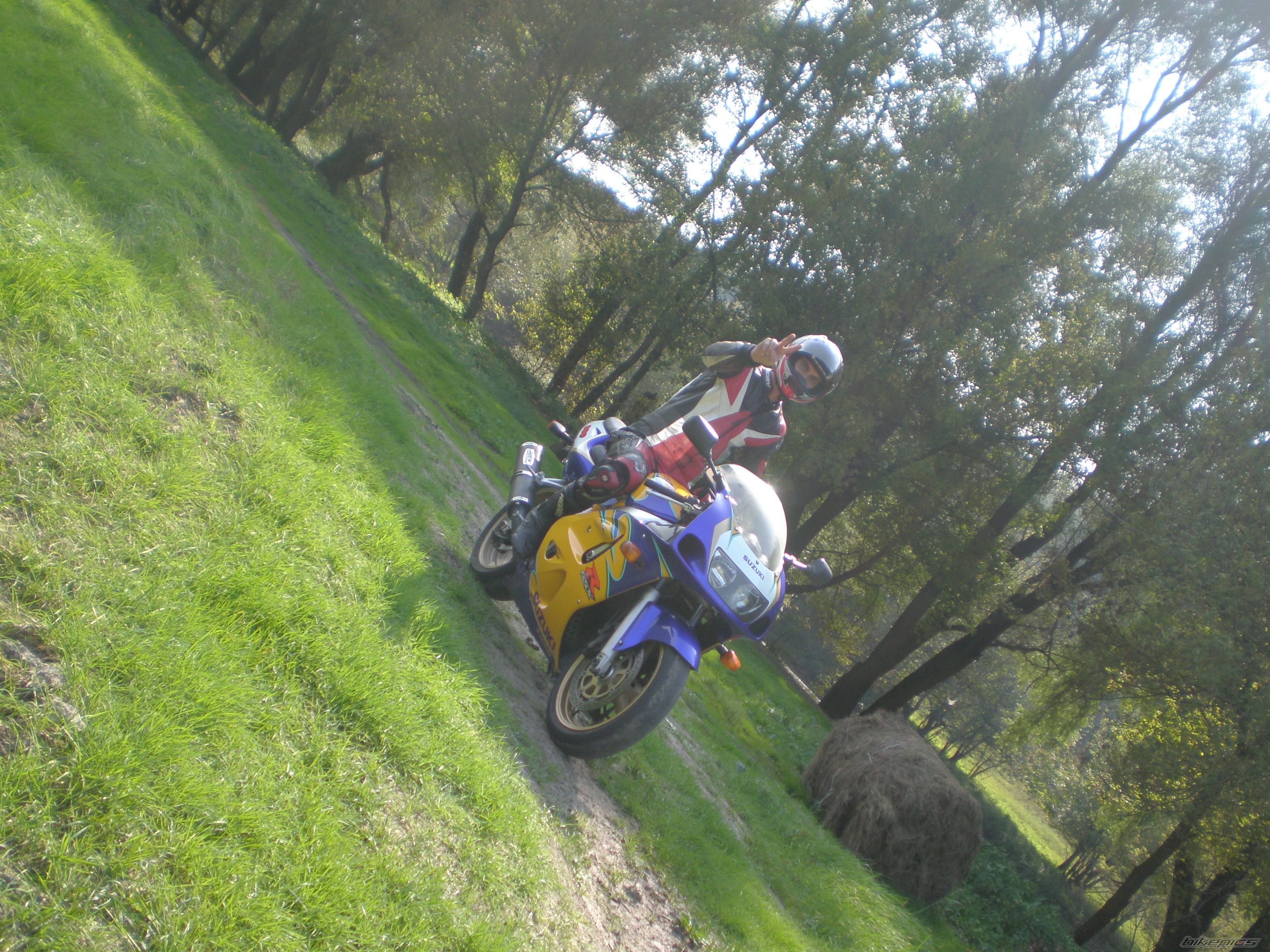 Photo 2078898