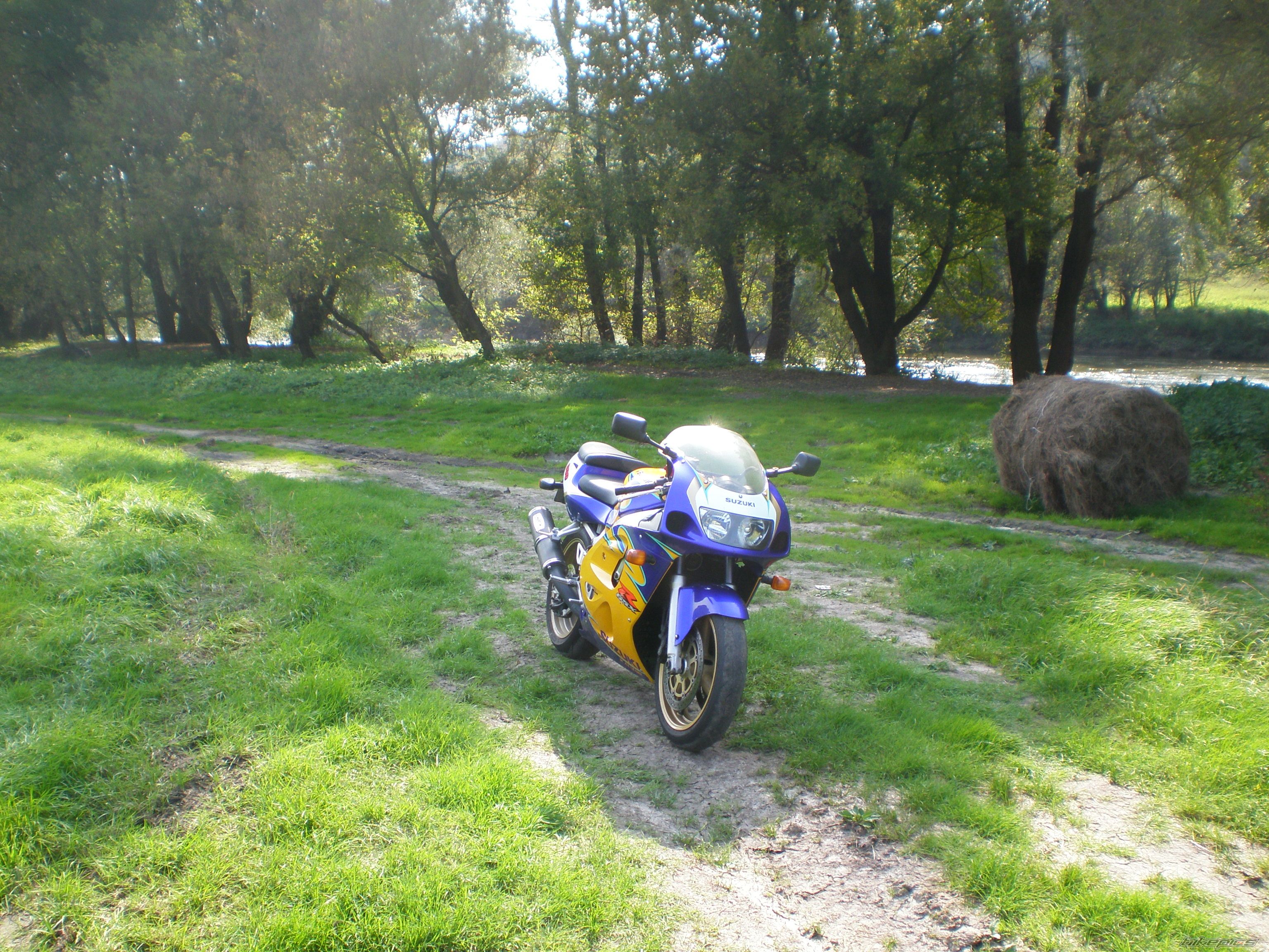Photo 2078905