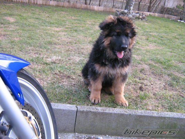 Photo 2078956