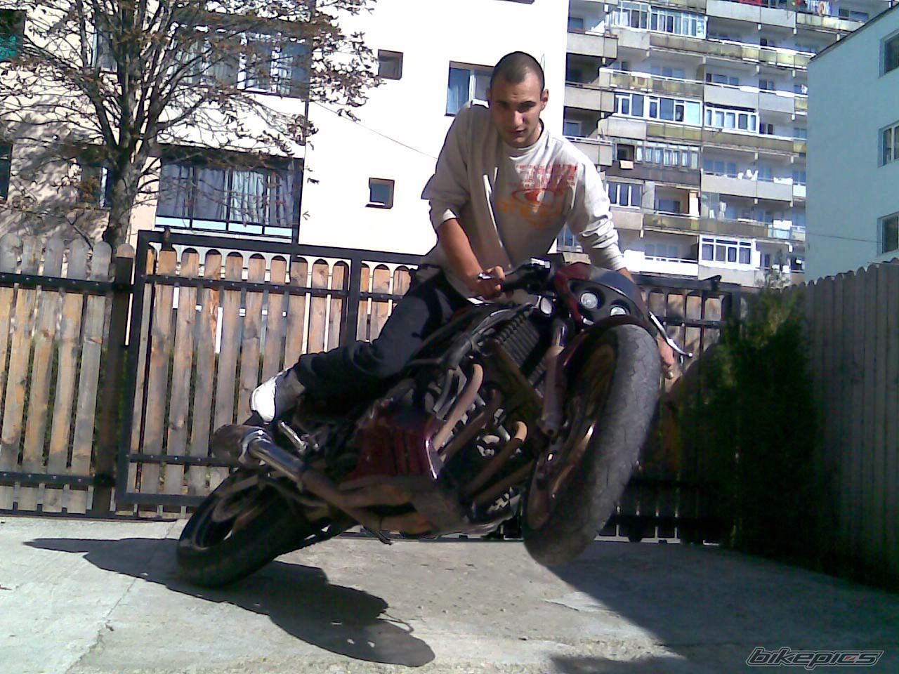 Photo 2079021