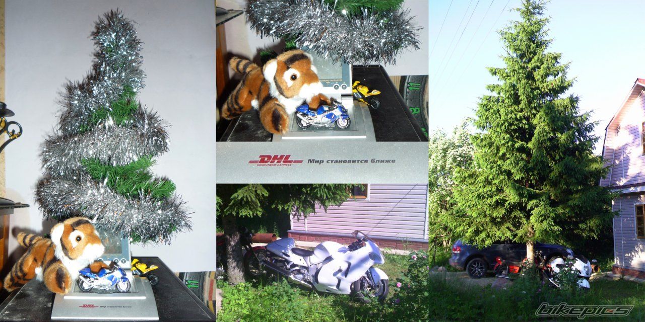 Photo 2079042