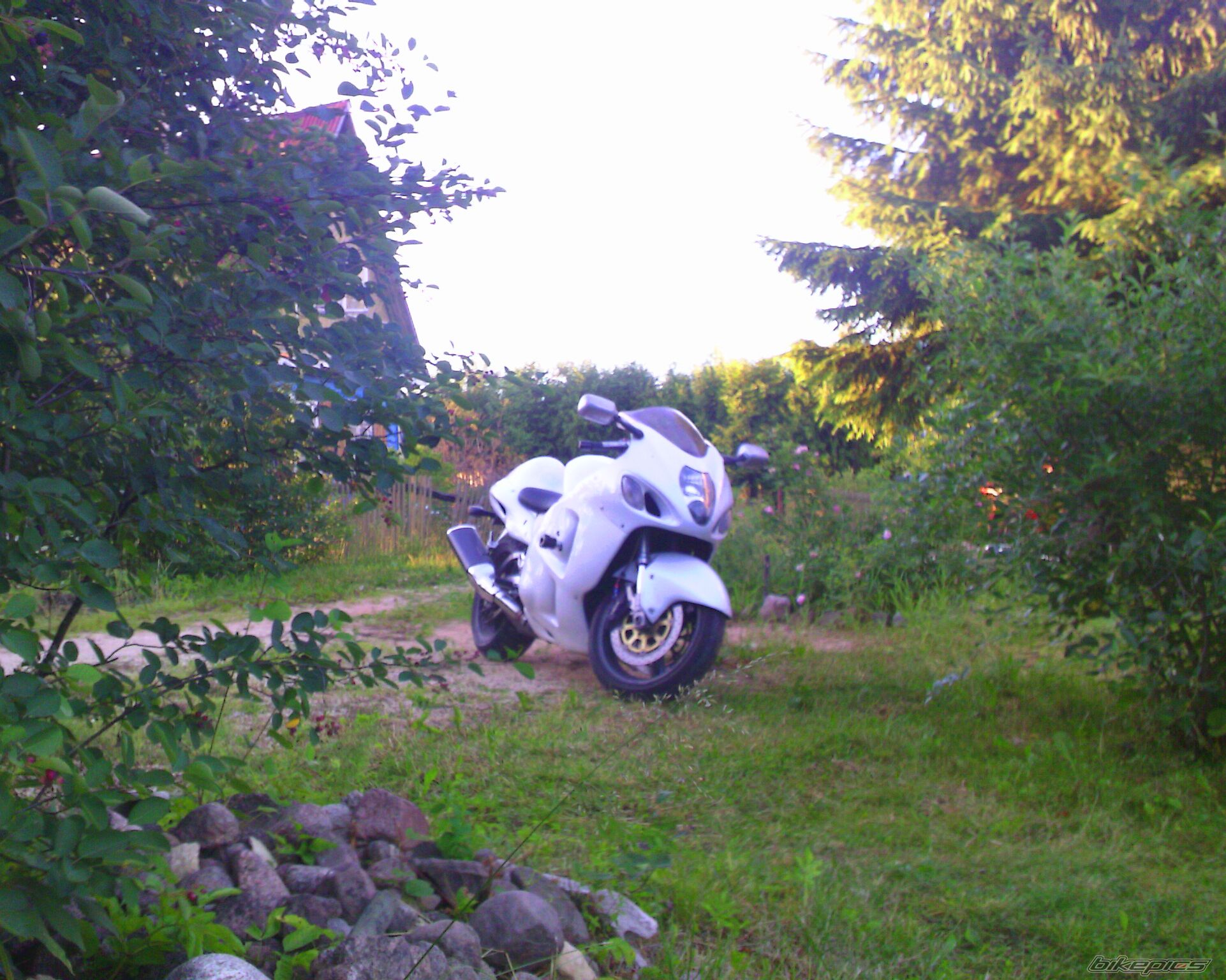 Photo 2079048