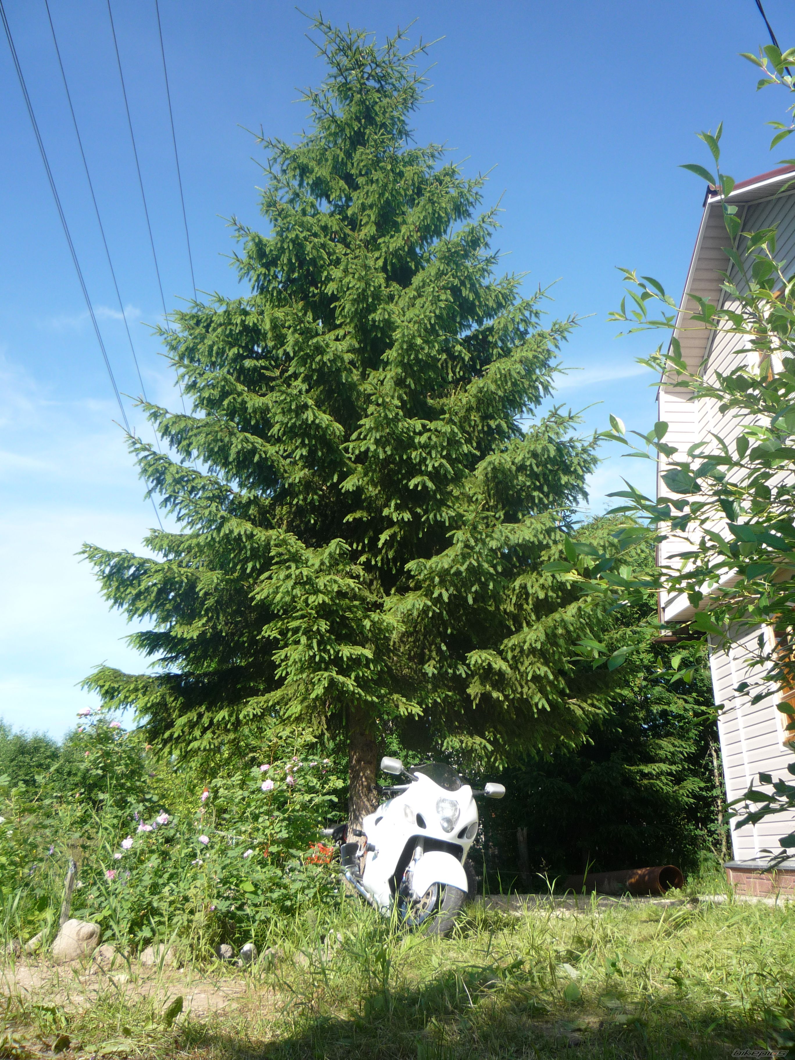 Photo 2079051