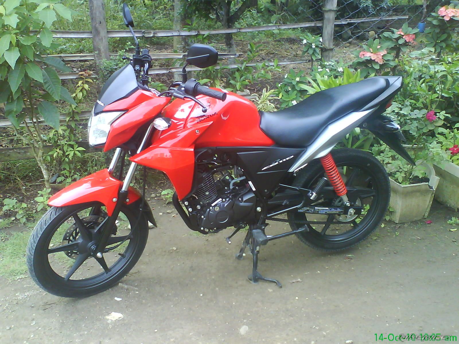 Photo 2079067