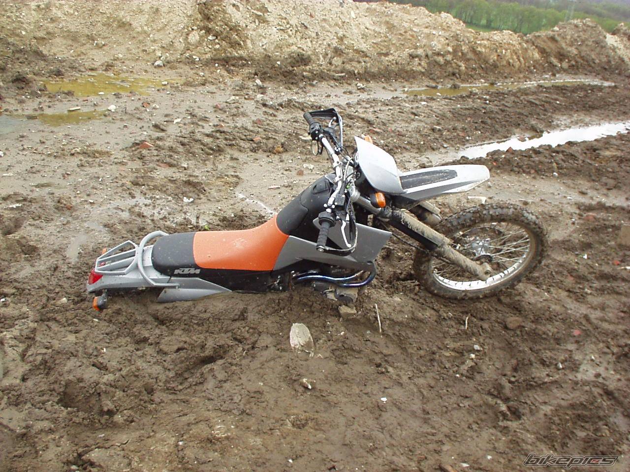 Photo 207907