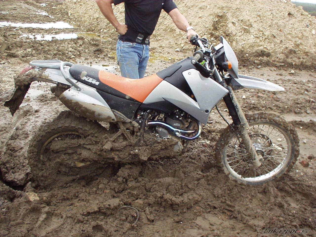 Photo 207910