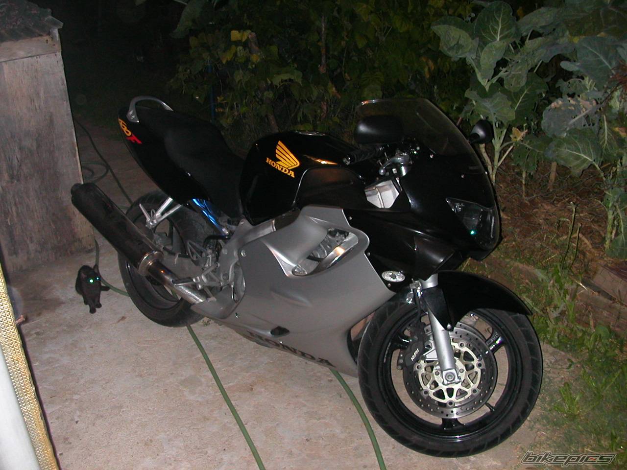 Photo 207957