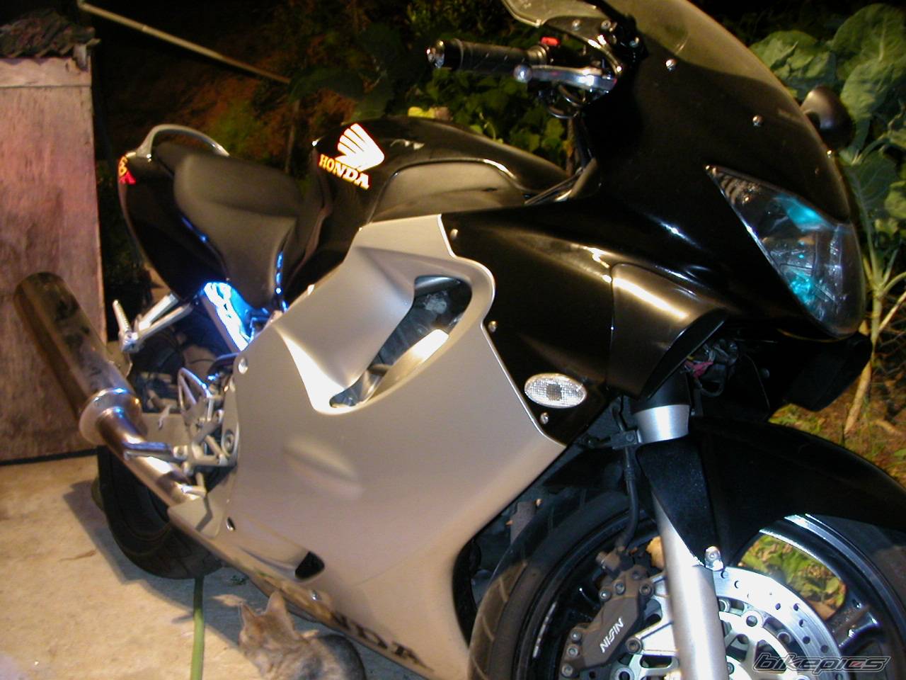 Photo 207958