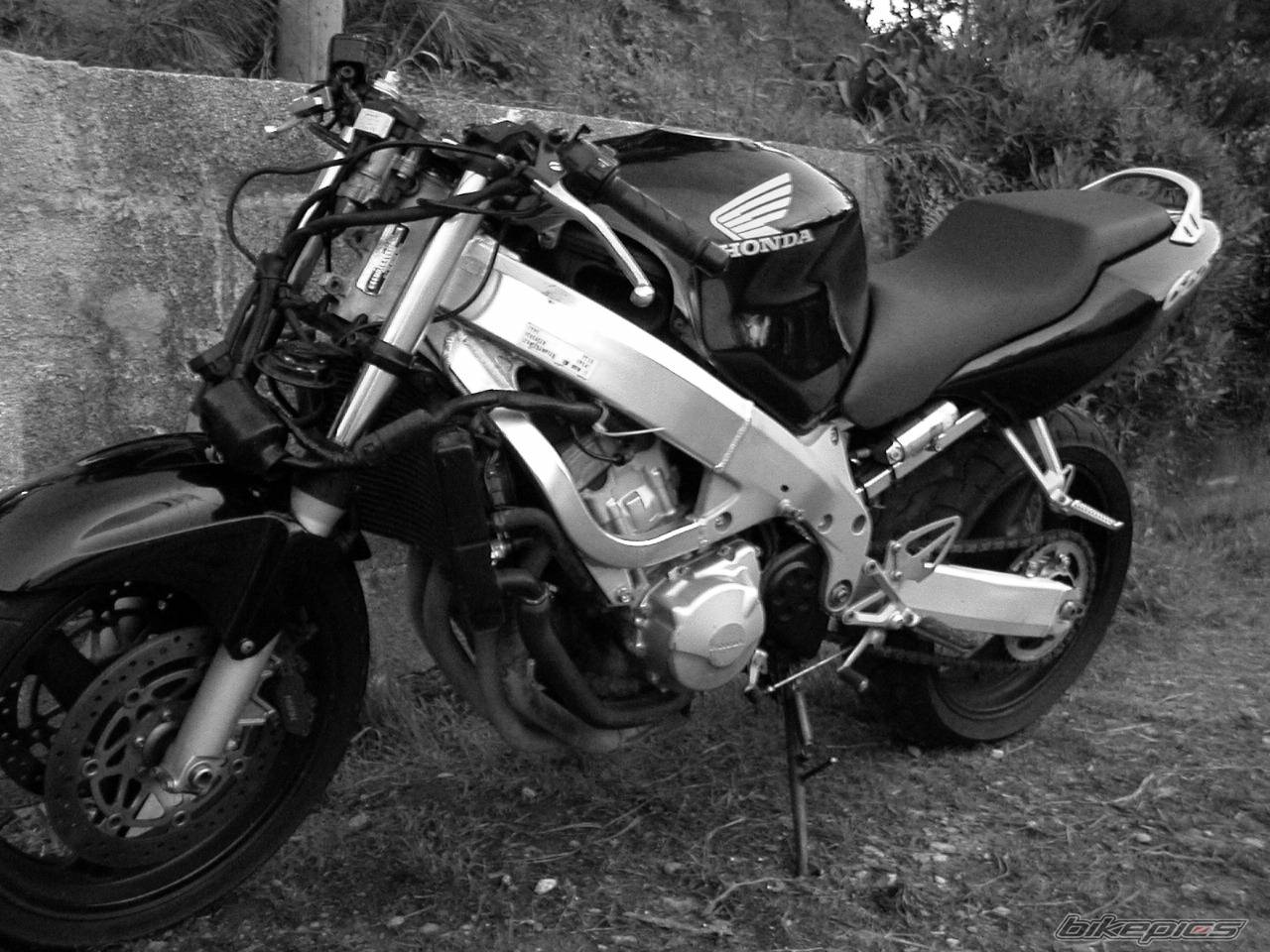 Photo 207960