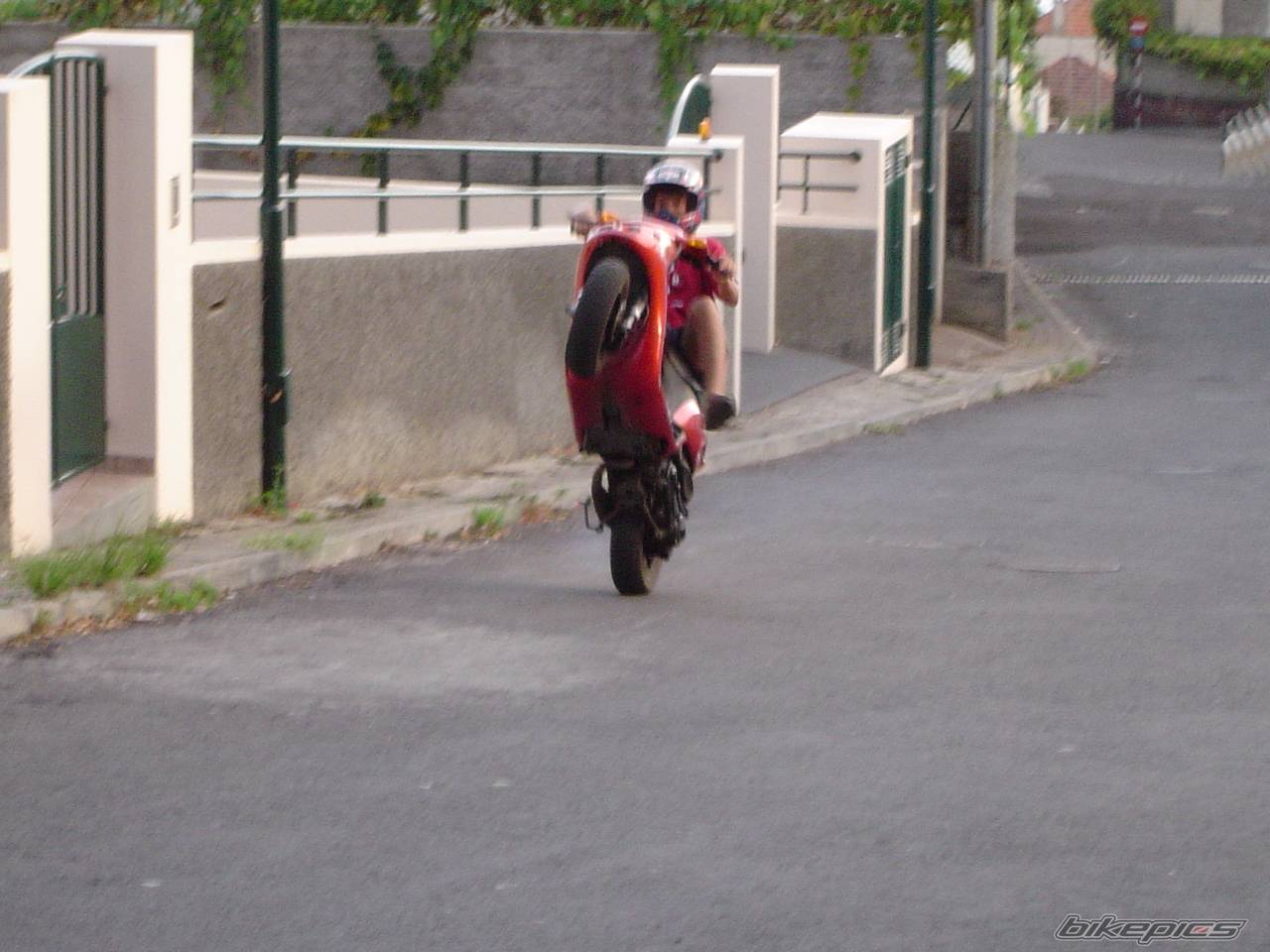 Photo 207968