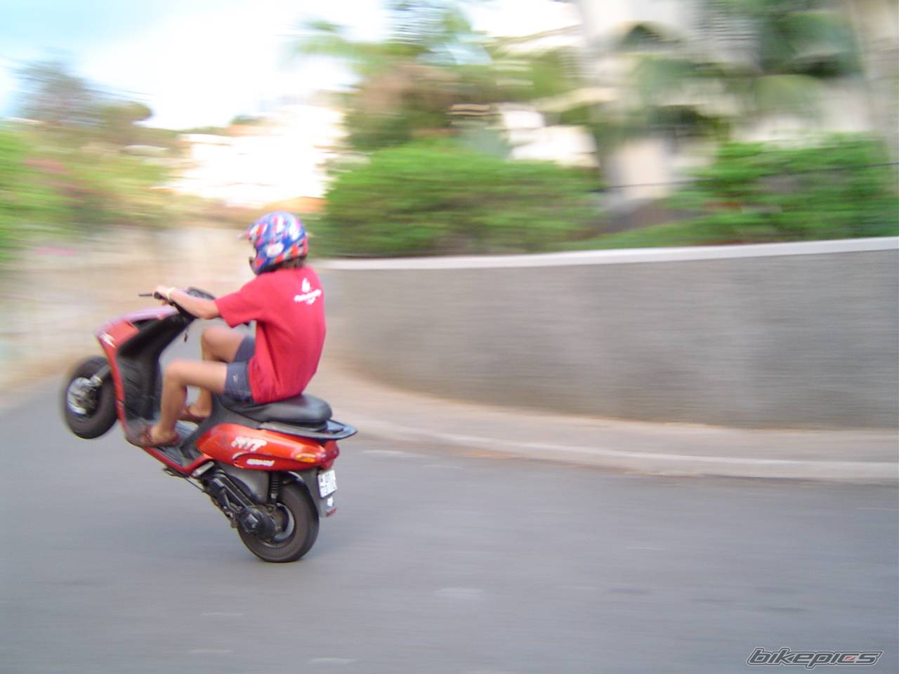Photo 207970