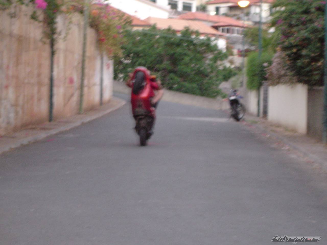 Photo 207972