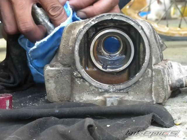 Photo 2079782