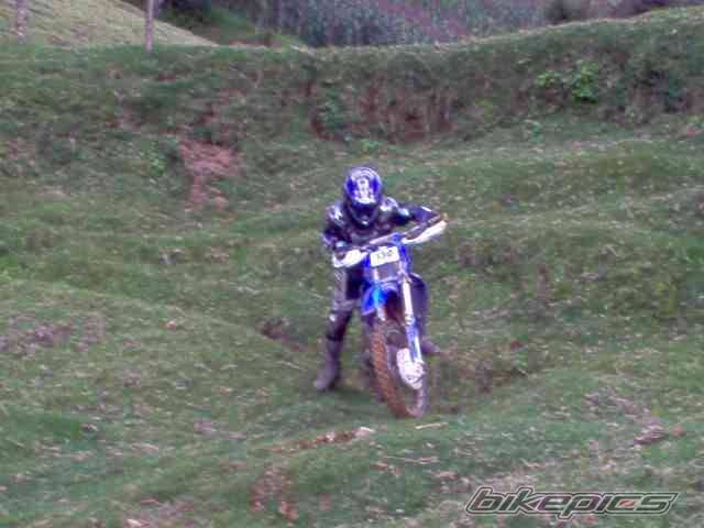Photo 207979