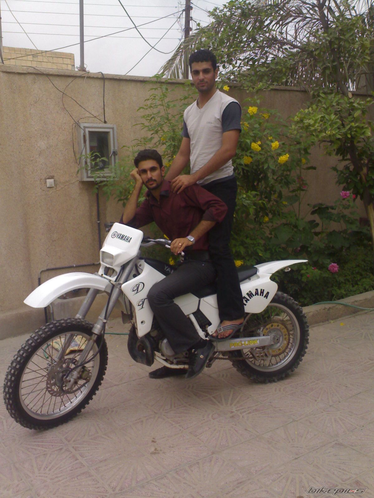 Photo 2079826