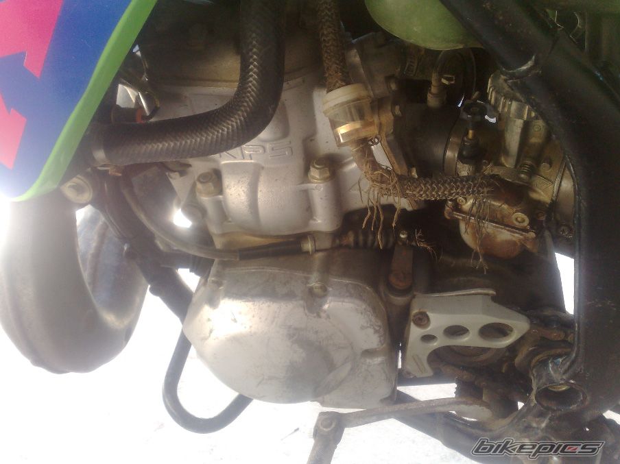 Photo 2079849