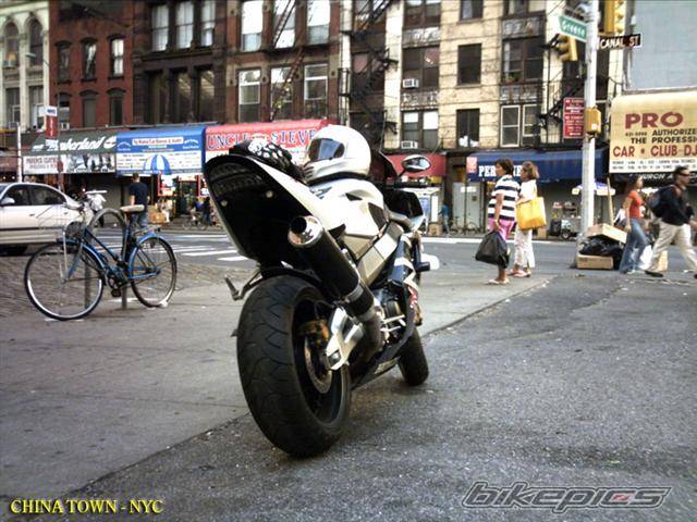 Photo 207986