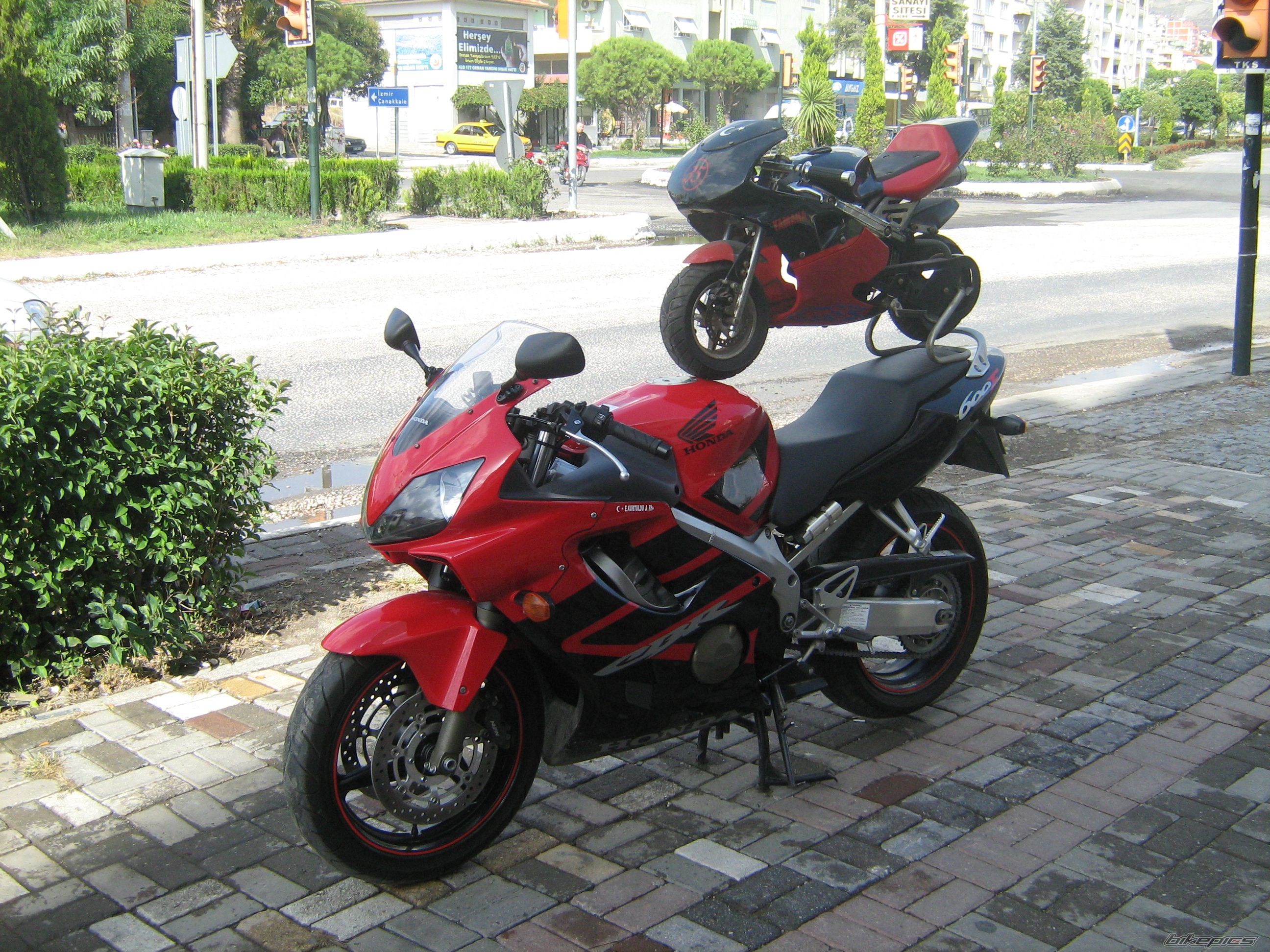 Photo 2079957