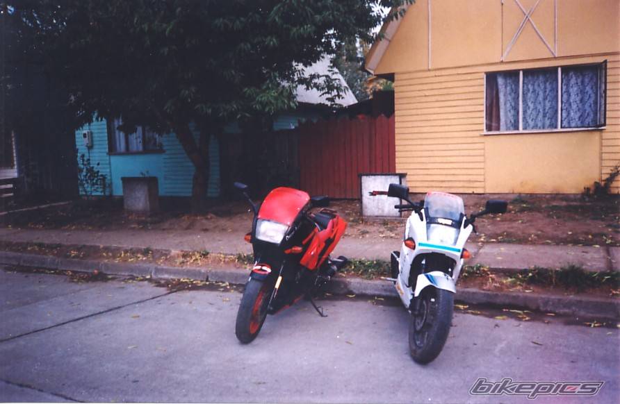 Photo 208020