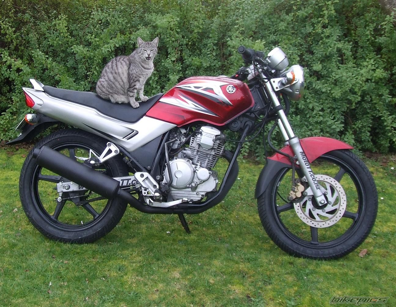 Bike Photo 2080209