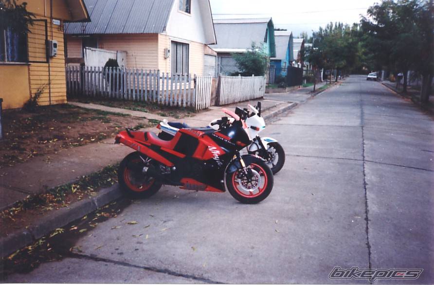 Photo 208023