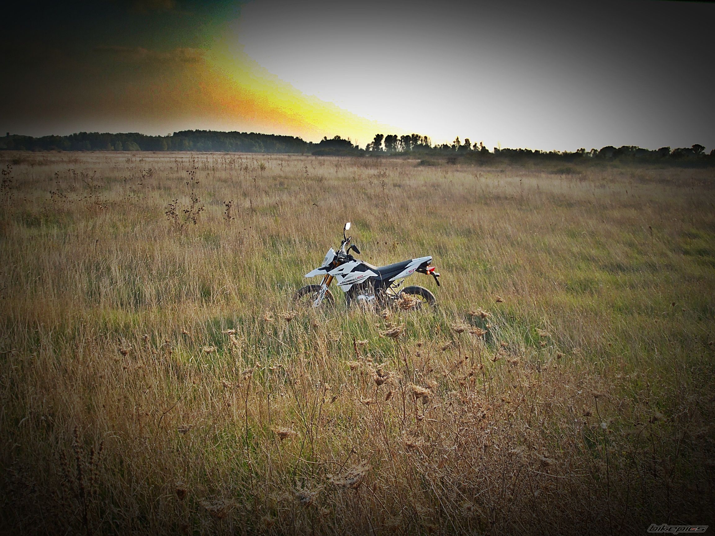 Photo 2080268