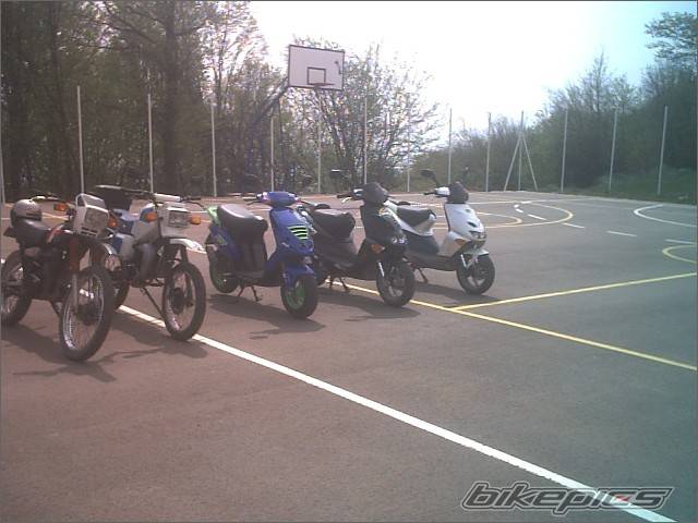 Photo 208053