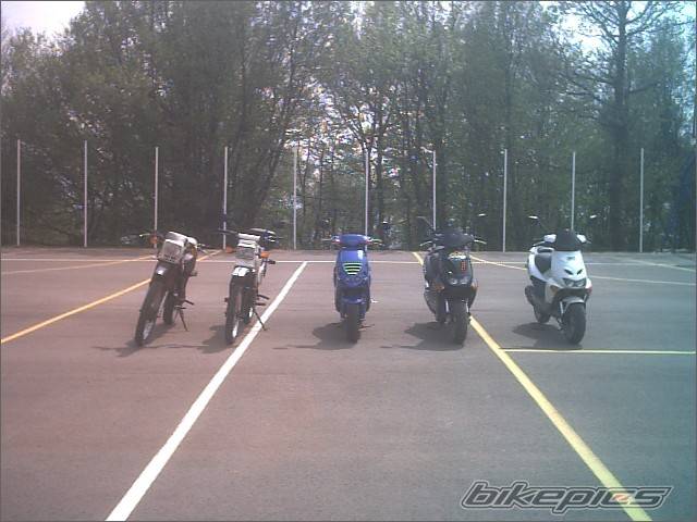 Photo 208056