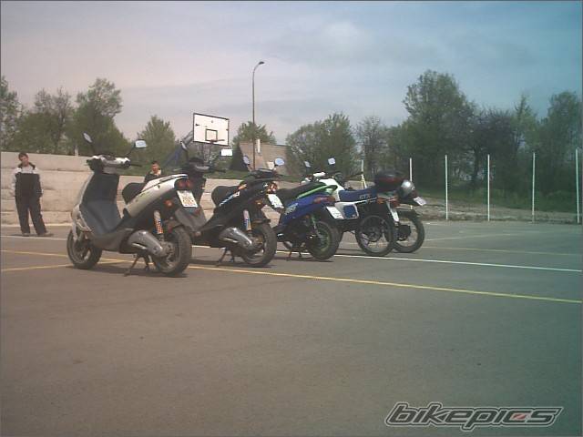 Photo 208061